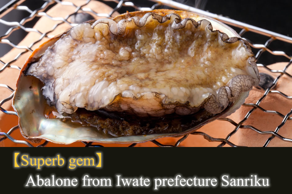 【Fine Delicacies】Iwate Prefecture, Sanriku-grown Abalone
